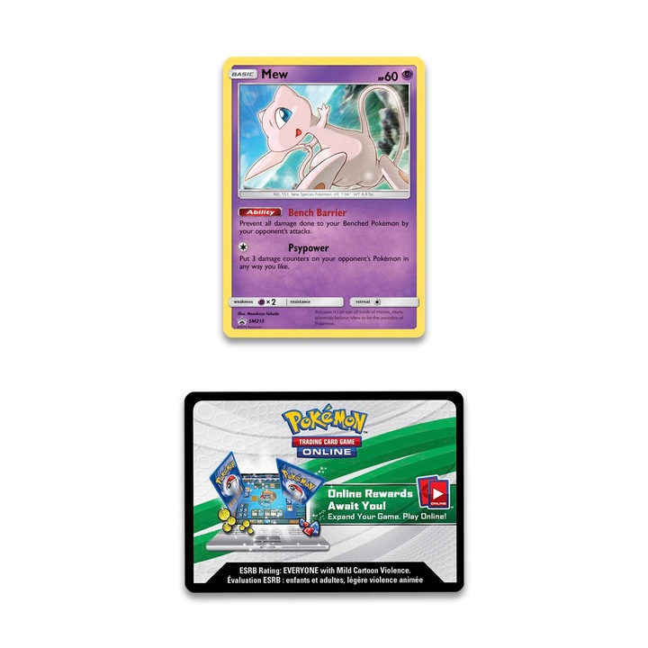 Actual product image Pokémon Hidden Fates (English, Box Set & Collection)