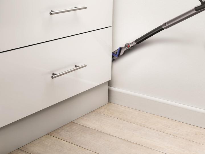 Actual product image Dyson DC52 Total Animal