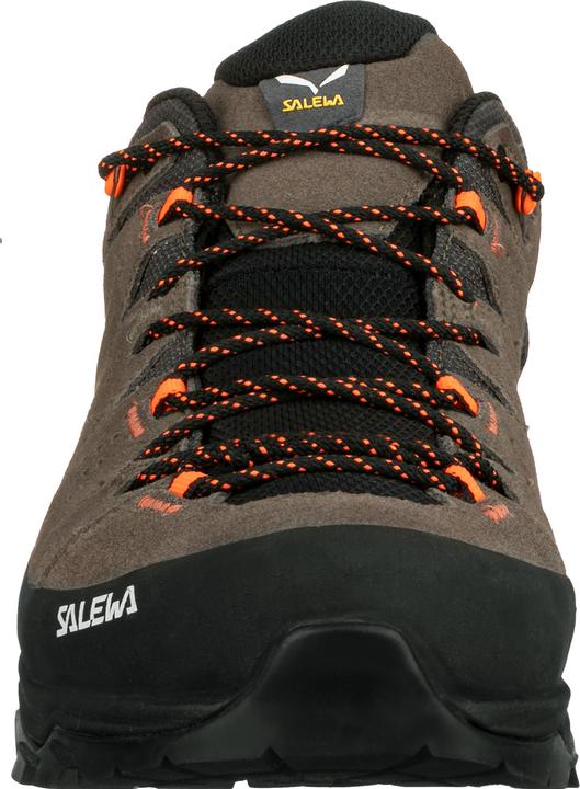 Actual product image Salewa Alp Trainer 2 Gore-Tex® Shoe (41)
