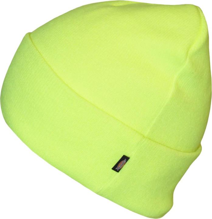 Actual product image Dickies Cap (One size)