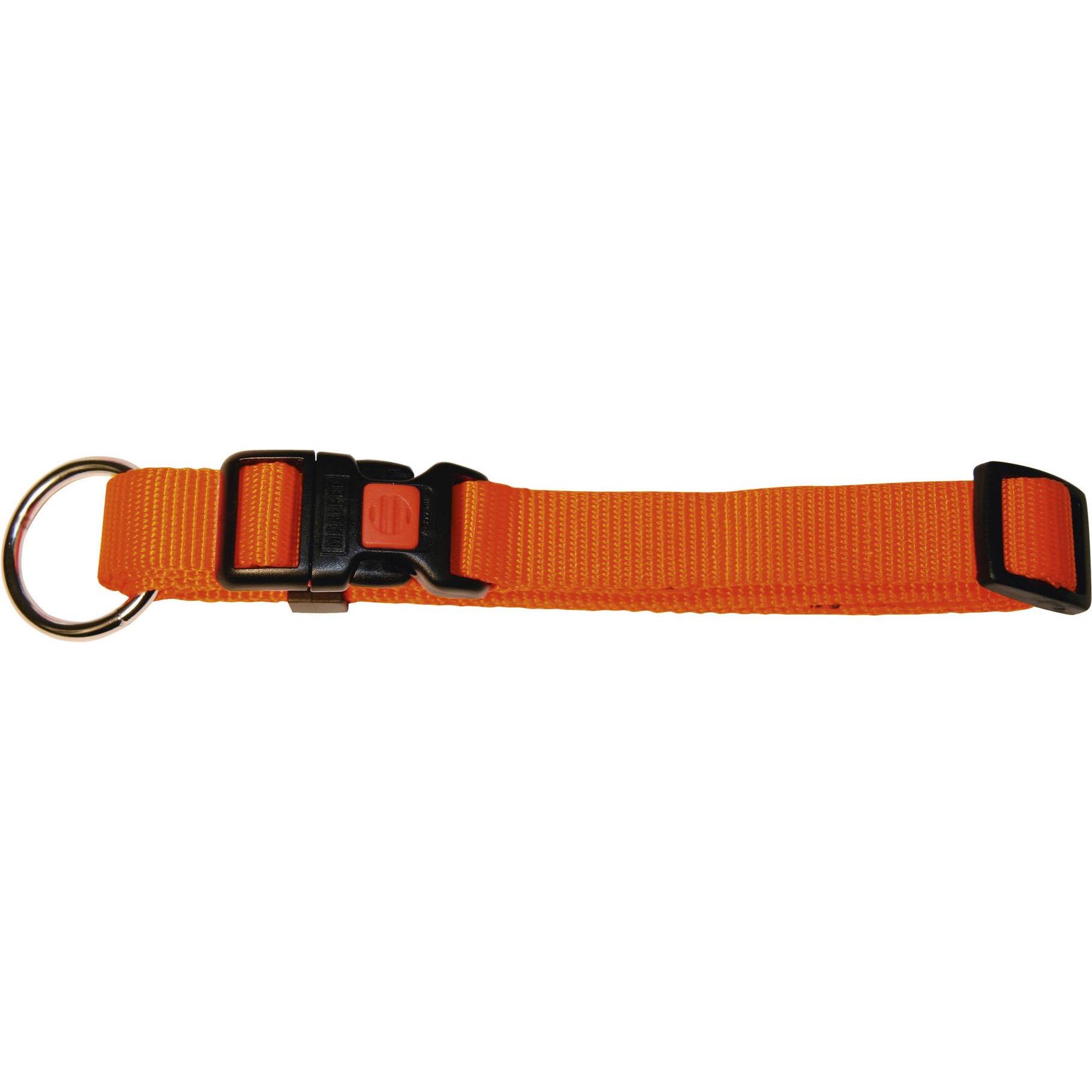 Kerbl Halsband Miami (Hund, Hundesport), Halsband + Leine