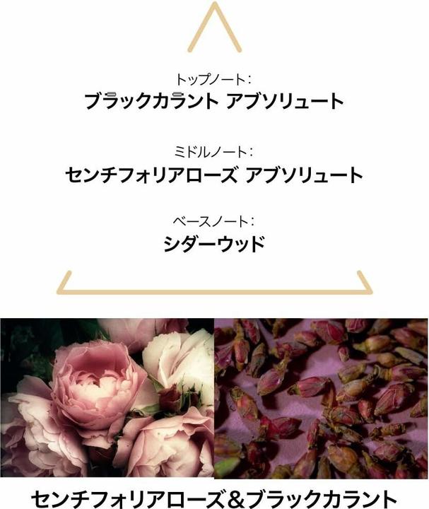 Actual product image Le Couvent Des Minimes Singulieres Saiga Edp 100 Ml (Eau de parfum, 100 ml)