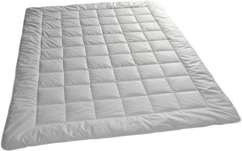Produktbild Billerbeck Bamboo Uno (1280 g, 160 x 210 cm)