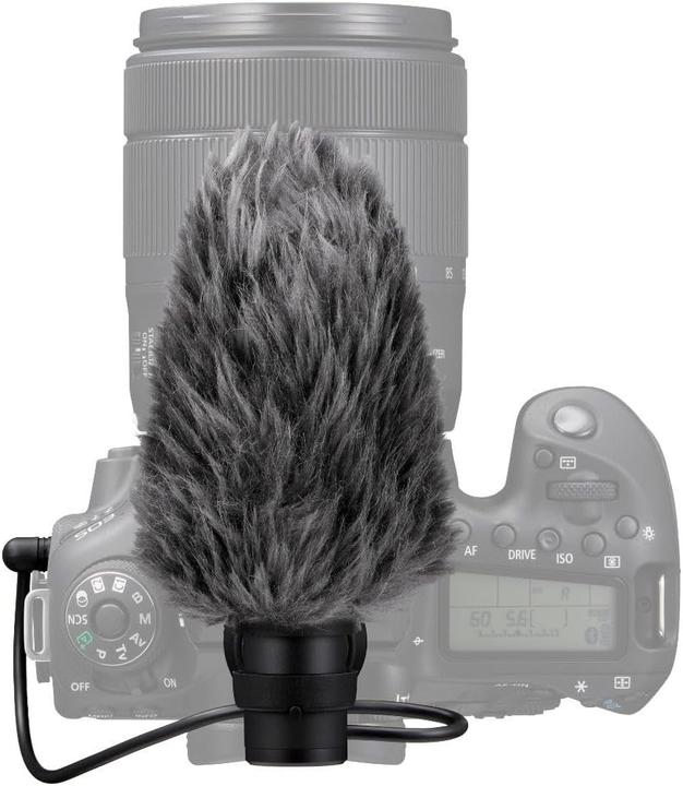 Actual product image Canon DM-E100