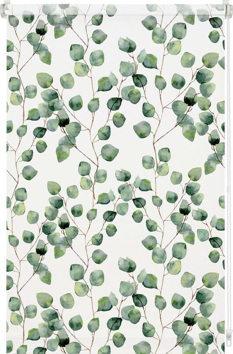 Produktbild Gardinia EASYFIX Rollo Digiprint Isabella (60 x 150 cm)