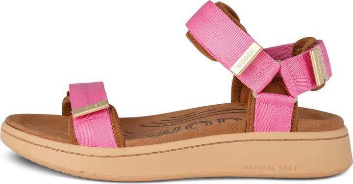 Aurora Pink