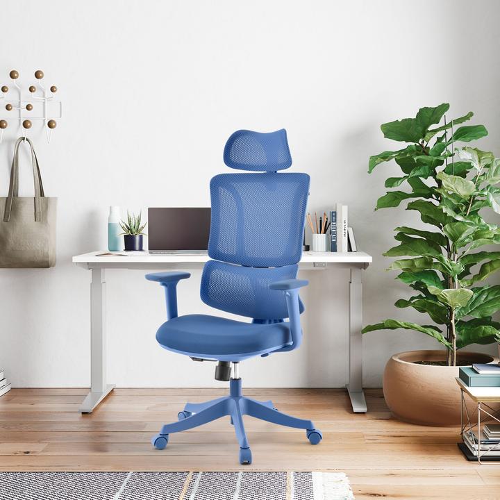 Image du produit MyBuero Ergomy Colore (45 - 55 cm)