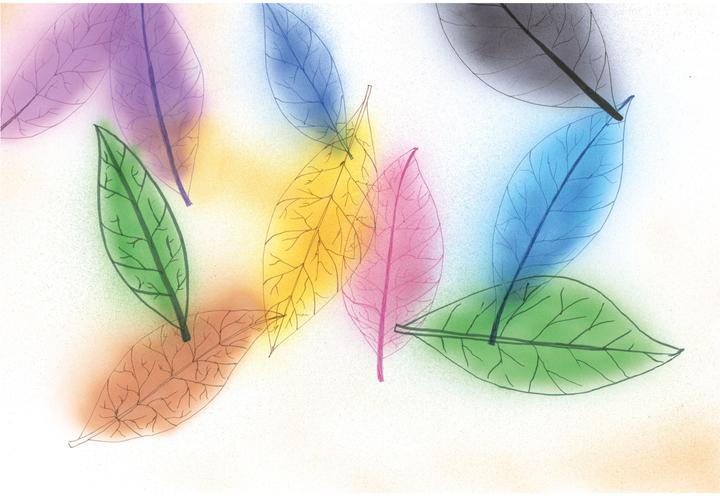 Actual product image Copic Classic (12x)