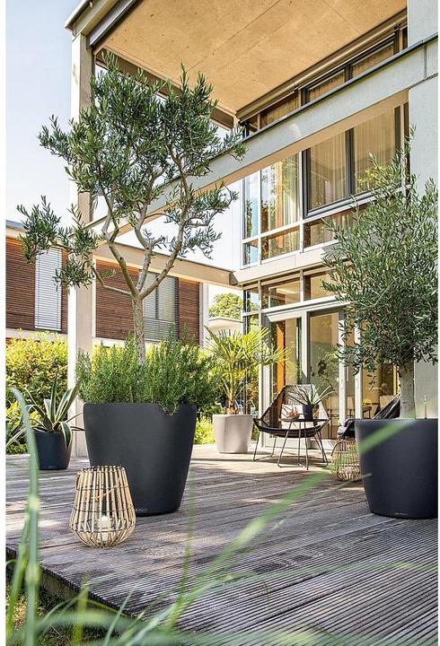 Image du produit Lechuza Classico Color 60 (60 cm)