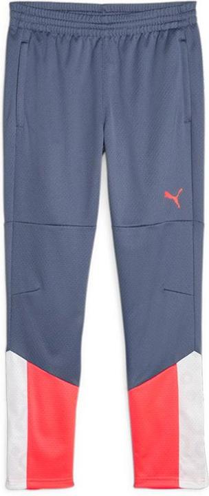 Actual product image Puma individualCUP Training Pants Jr (176)