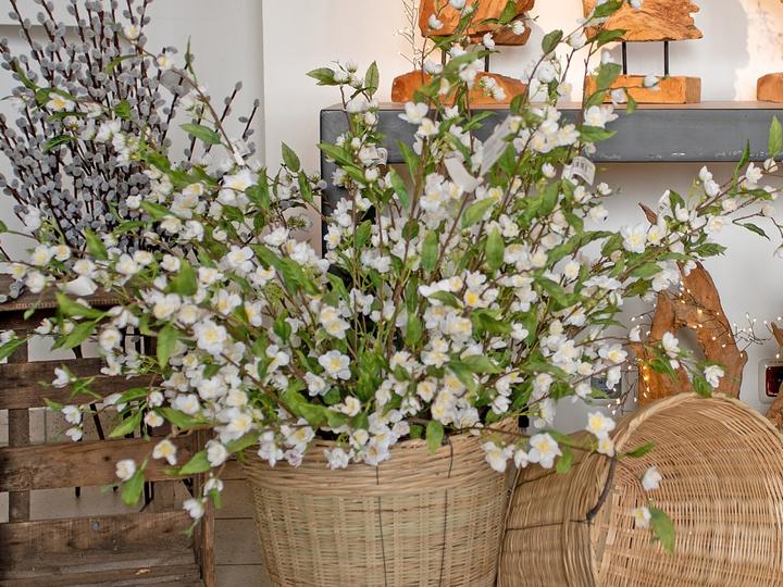 Produktbild Europalms Kirschzweig, künstlich, weiss, 60cm (60 cm)