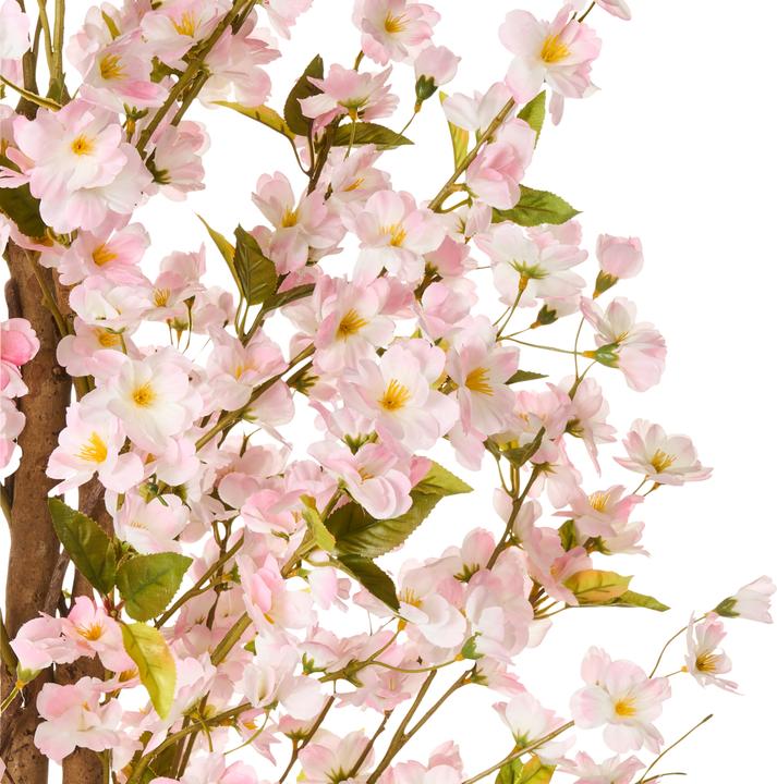 Immagine prodotto Beliani Sakura (185 cm)