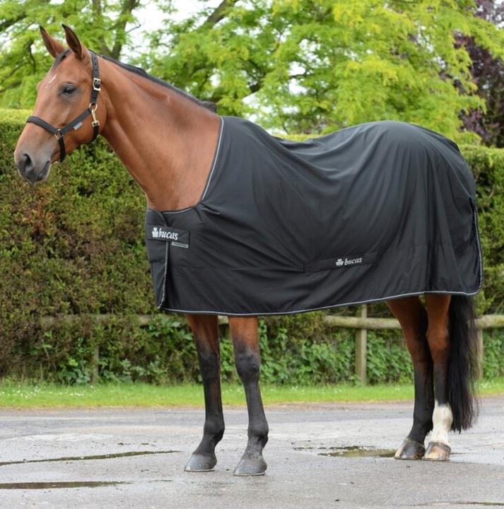 Couverture Pour Chevaux En Polaire Blue Royal Horse Fleece Rug