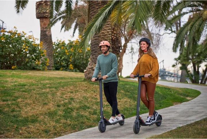 Immagine prodotto Segway-Ninebot Kick Scooter E22E (20 km/h, 22 km, 300 W)