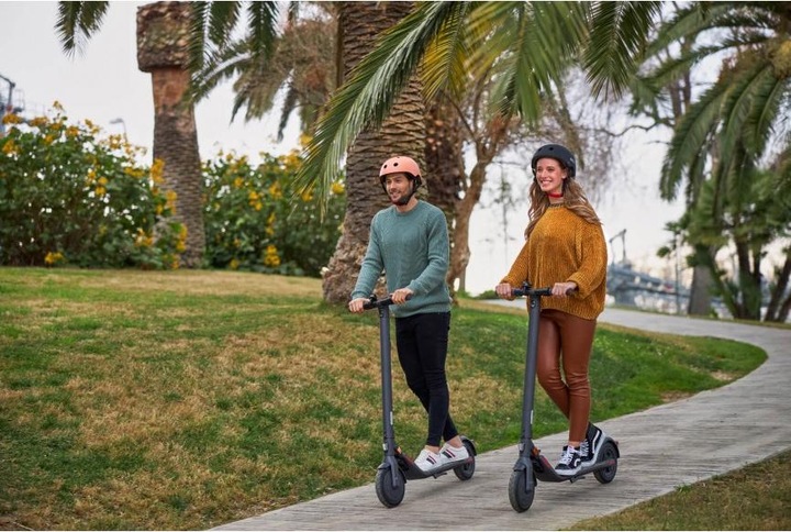 Produktbild Segway-Ninebot Kick Scooter E22E (20 km/h, 22 km, 300 W)