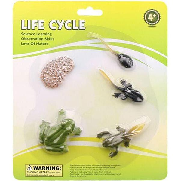 Thumbnail - Lebenszyklus-Frosch-Spielzeugfiguren-Set