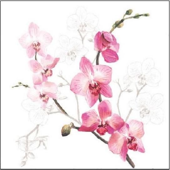 Ambiente, Servietten, Serviette "Orchid" 25 x 25 cm 20er Packung (20 x, 25 x 25 cm)