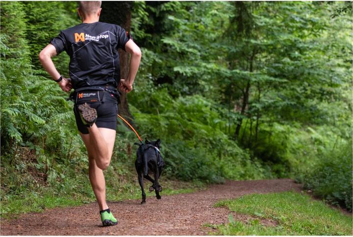Immagine prodotto Non-Stop Dogwear Bungee (M, Cane, Generale)