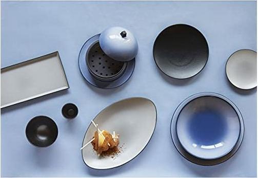 Actual product image Revol Equinoxe dinner plate