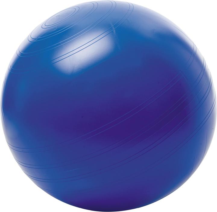 Togu Sitzball (65 cm)