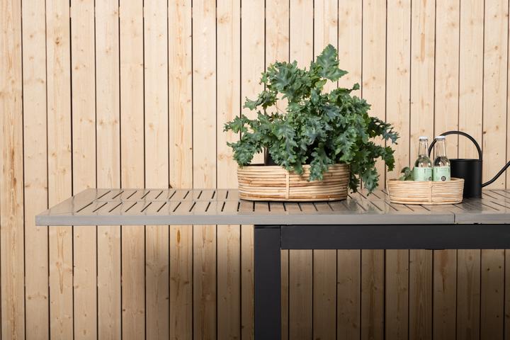 Produktbild Venture Home Esstisch Albany (224 x 90 x 74 cm)