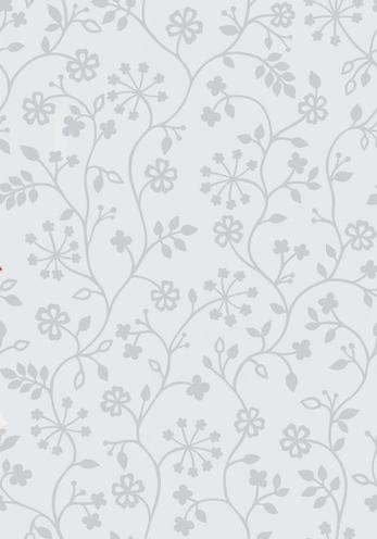 Produktbild D-C-Fix Statisch haftende Fensterfolie (100 x 45 cm)