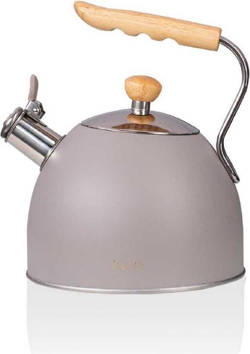 Actual product image Husa KETTLE WITH WHISTLE 2.5L HUSLA gray 73907 (2.50 l)