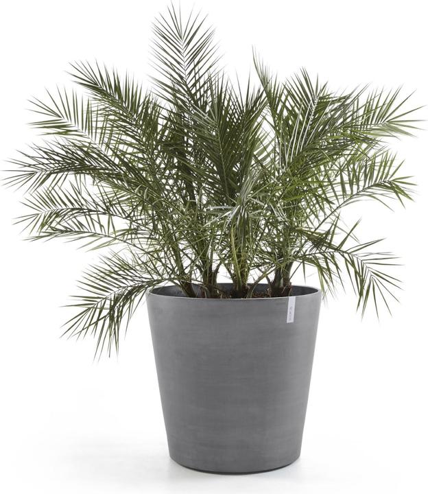 Actual product image Ecopots Amsterdam (80 cm)