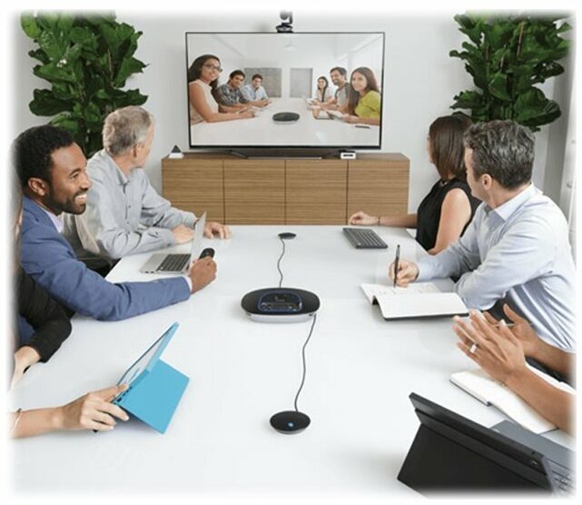 Immagine prodotto Logitech Expansion Mics
