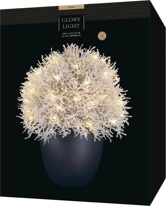 Actual product image STT Calo 35