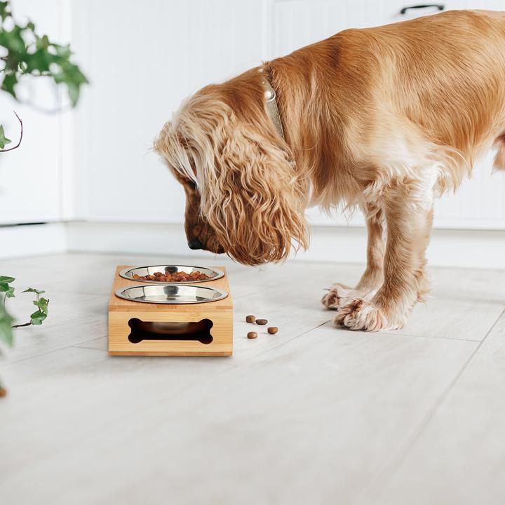 Immagine prodotto Relaxdays Stazione di cibo per cani (0.30 l)