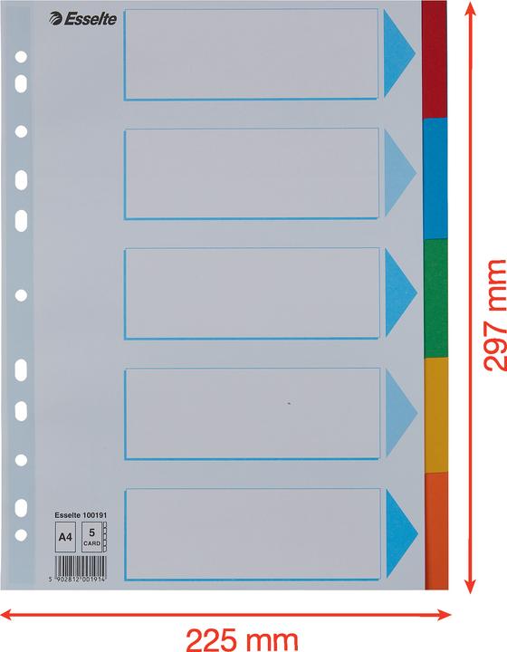 Esselte Register Karton