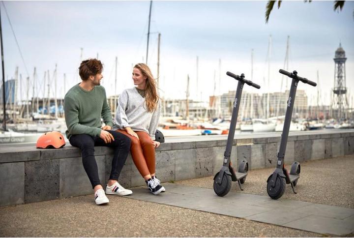 Immagine prodotto Segway-Ninebot Kick Scooter E22E (20 km/h, 22 km, 300 W)