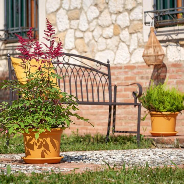 Actual product image Euro3plast Geo (25 cm)