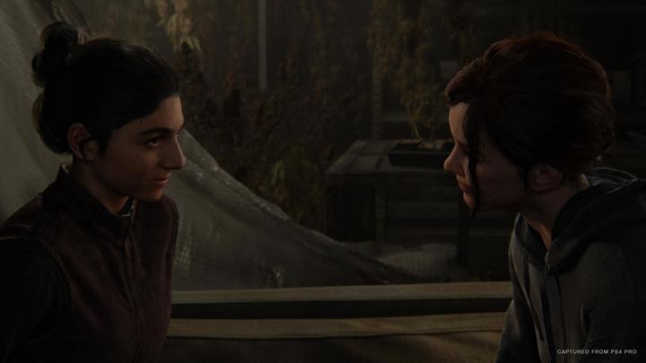 Produktbild Sony The Last of Us Part II (2) (PS4, EN)