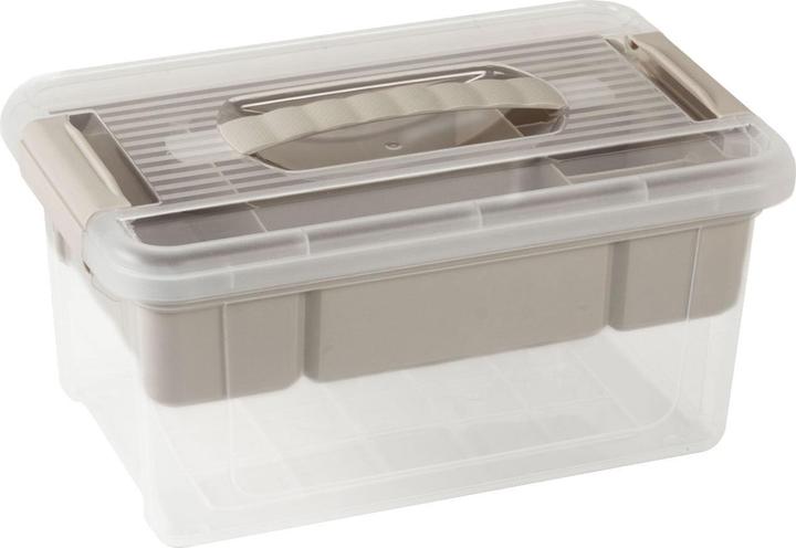 Storage Solutions Storage box with organiser (29 x 19 x 14 cm, 5 l)