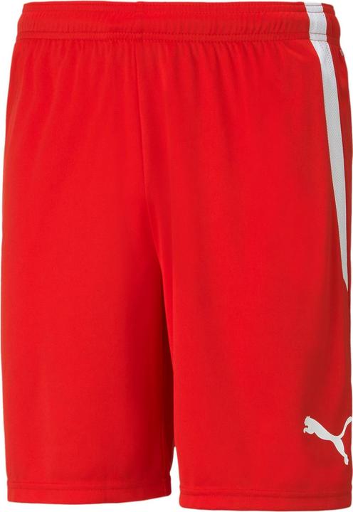 Produktbild Puma teamLIGA Shorts-704924 (XXL)