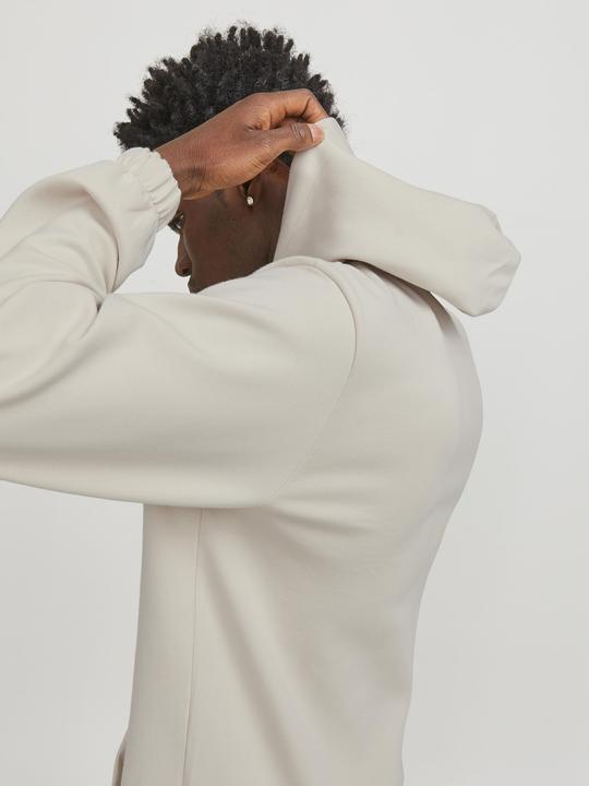 Actual product image Jack & Jones Jcoaltitude Sweat Hood Sn (S)