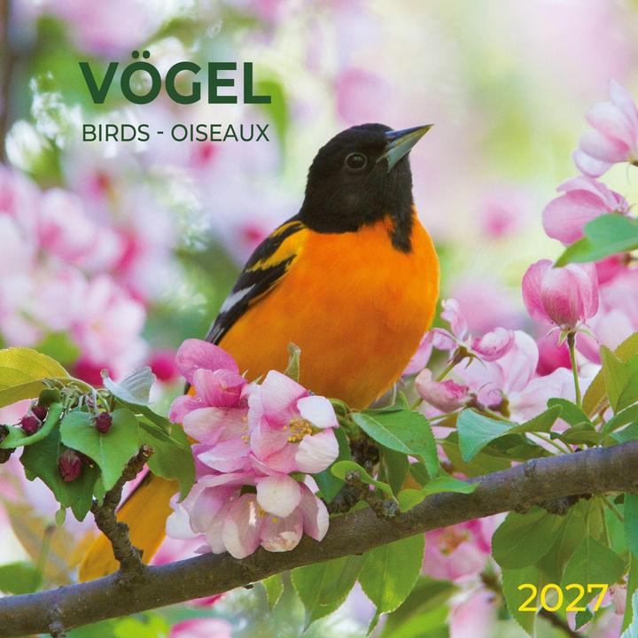 Produktbild Vögel / Birds 2027
