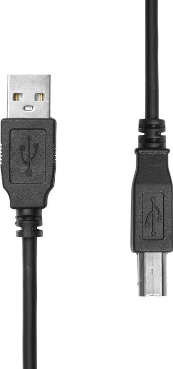 Image du produit ProXtend Câble USB 2.0 A vers B M/M Noir 0.5M (0.50 m)