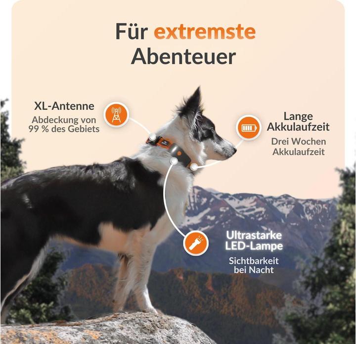 Produktbild Weenect GPS-Tracker (One Size, Hund)