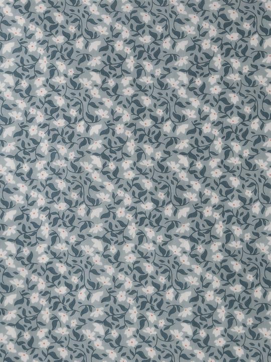 Gris-bleu