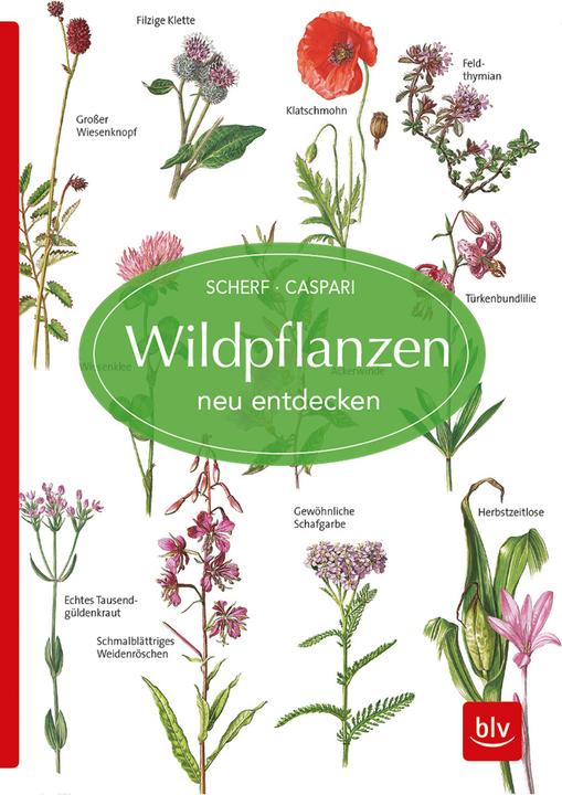 Produktbild Wildpflanzen neu entdecken (Deutsch, Claus Caspari, 2018)