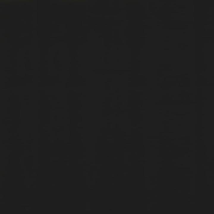 Image du produit vidaXL Remus (300 x 150 cm)