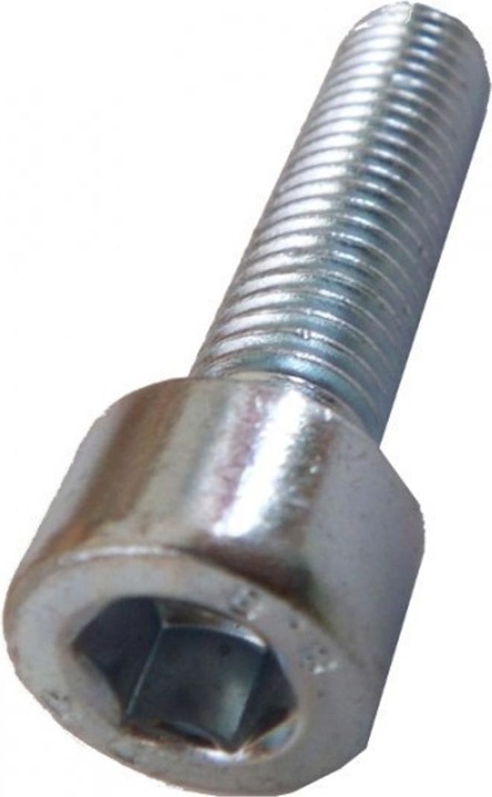 Actual product image Kletterbude Climbing grip screw M10 Cylinder head screw