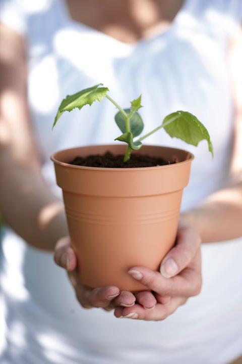 Actual product image Elho Green Basic (13 cm)