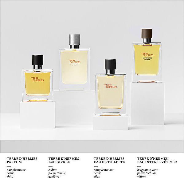 Actual product image Hermès Terre D'Hermes (Eau de parfum, 125 ml)