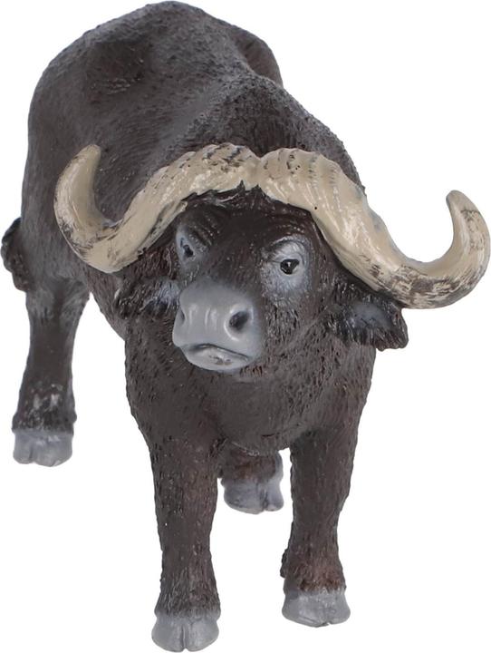 Image du produit Schleich Buffle kaffir