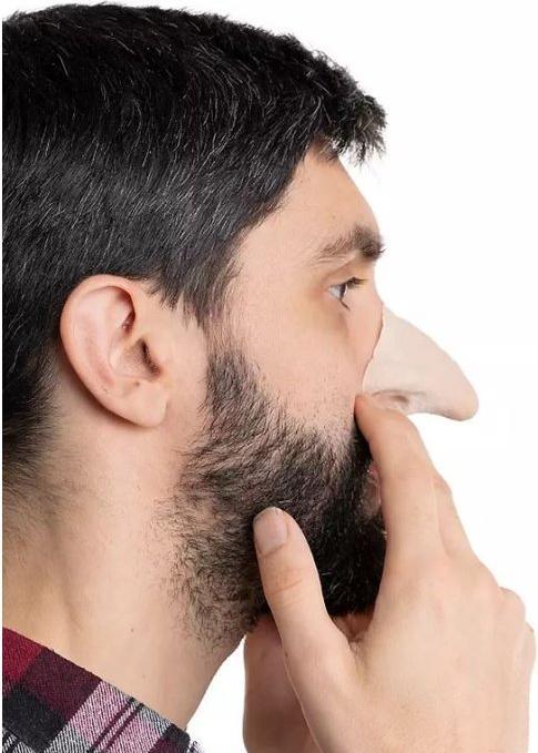 Produktbild Metamorph Kobold