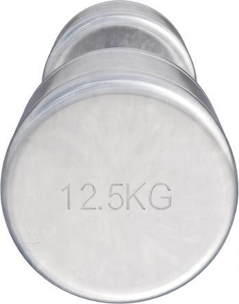 Image du produit Gorilla Sports Chrom Kurzhanteln (2 x 12,5 kg)